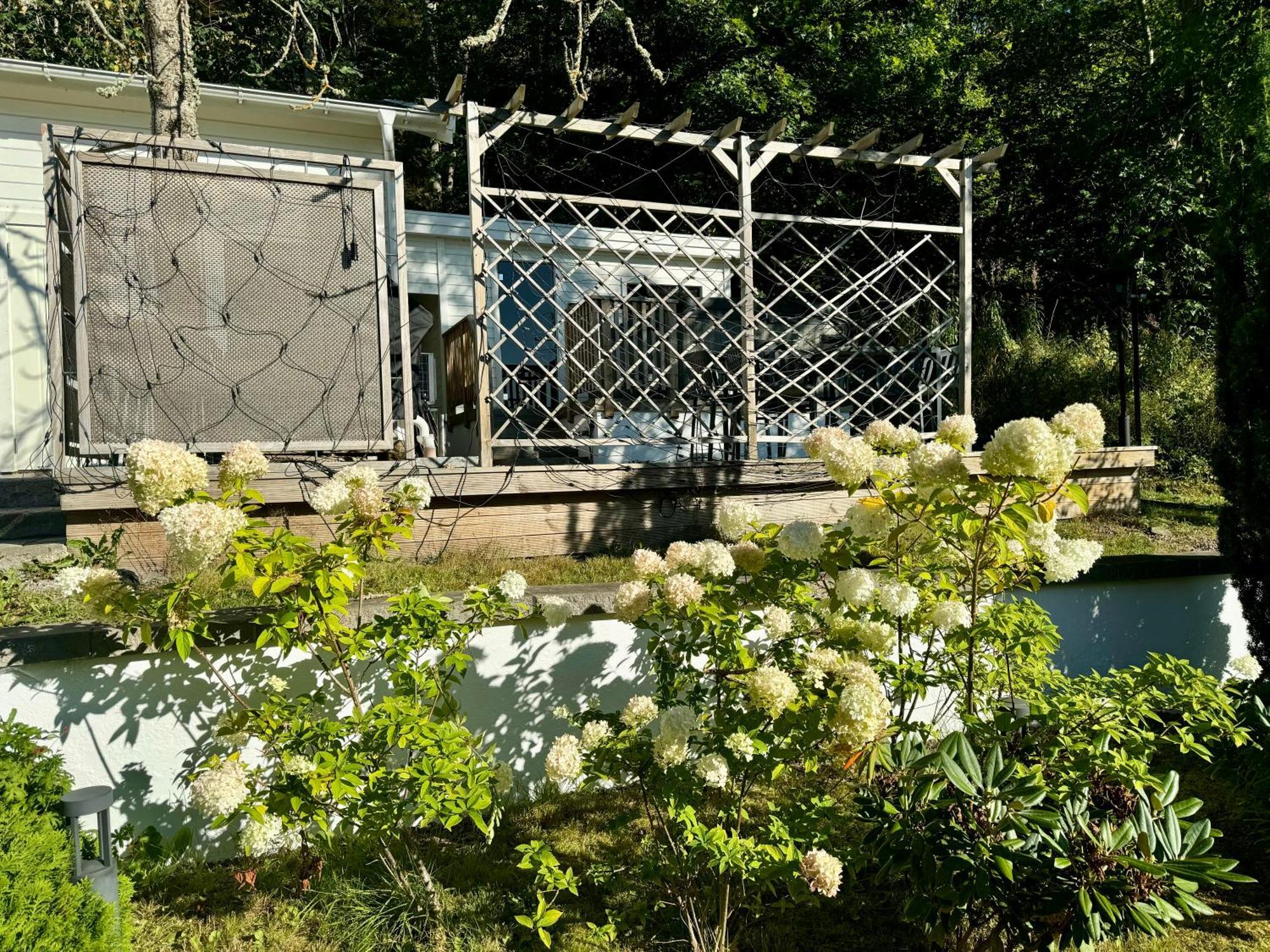 Hills Cottage 格兰纳 外观 照片